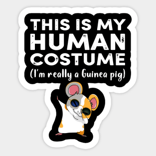 This My Human Costume I’m Really Guinea Pig Halloween (35) Sticker